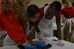 CHAMPS participants work in small groups to dissect a heart. 