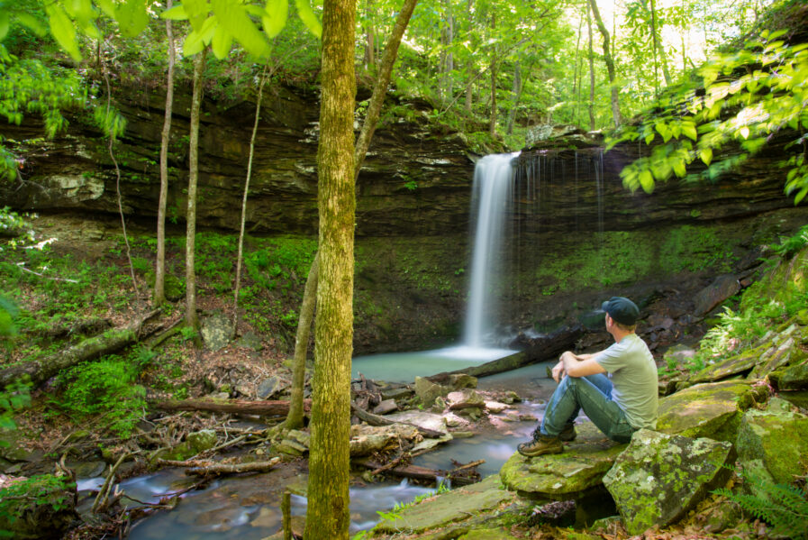 a person sits and admires Pack Rat falls in a wooded setting